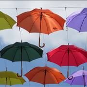 Different Types of Umbrellas